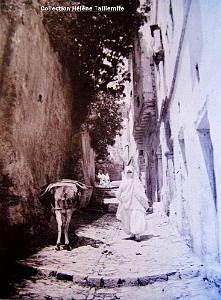Images d'Algerie 039